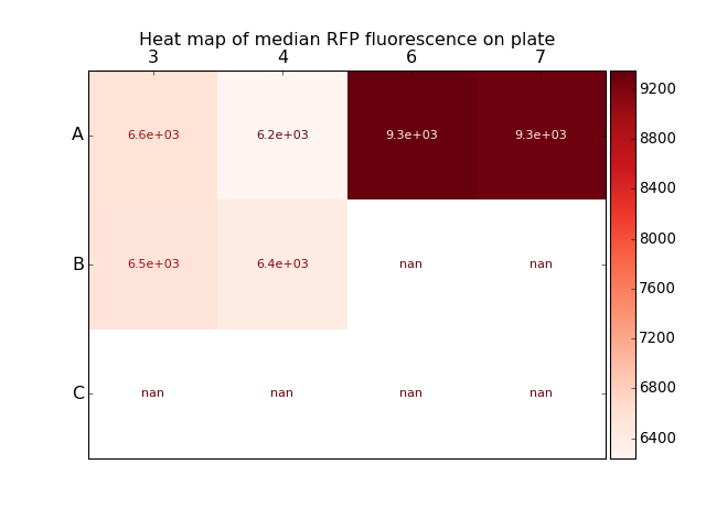 _images/plate_gated_median_fluorescence.png